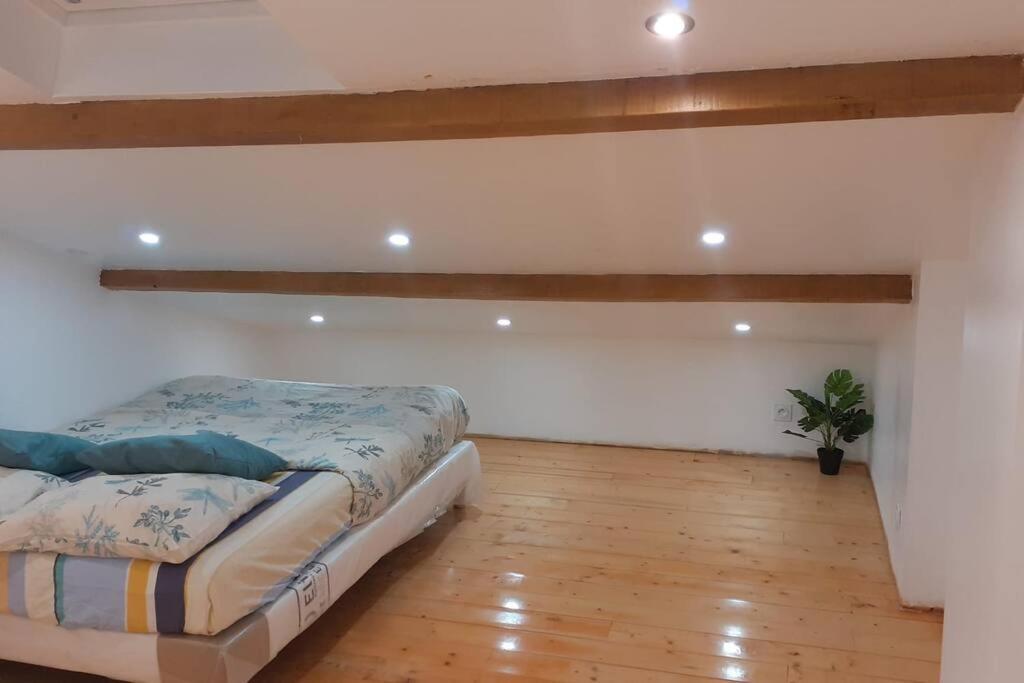 Appartement La Joie Dans Quartier Chic Pibrac Екстер'єр фото
